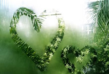 球员状态火爆，成绩稳坐榜首