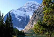 球员状态火爆，成绩稳坐榜首