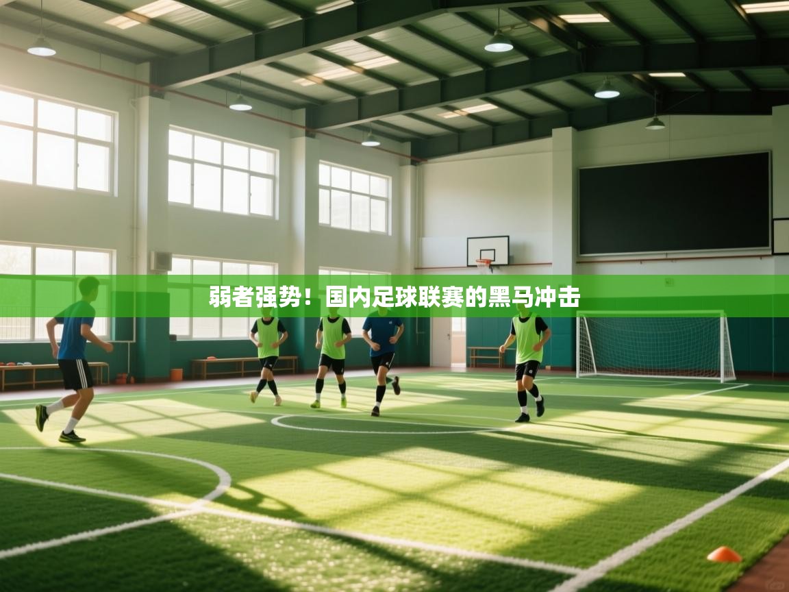 弱者强势!国内足球联赛的黑马冲击 第2张