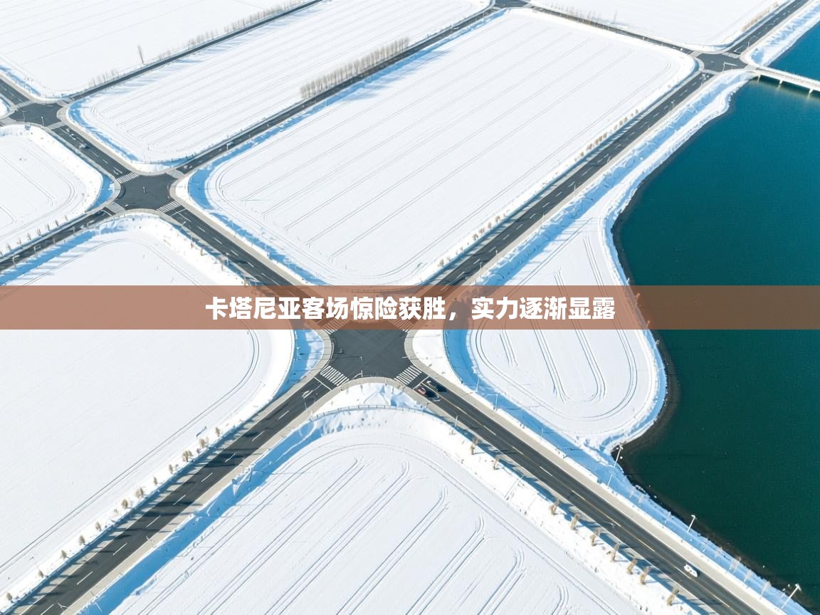 卡塔尼亚客场惊险获胜,实力逐渐显露 第2张