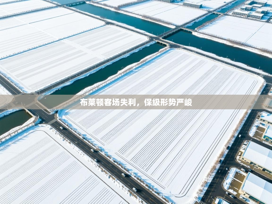 布莱顿客场失利，保级形势严峻  第2张