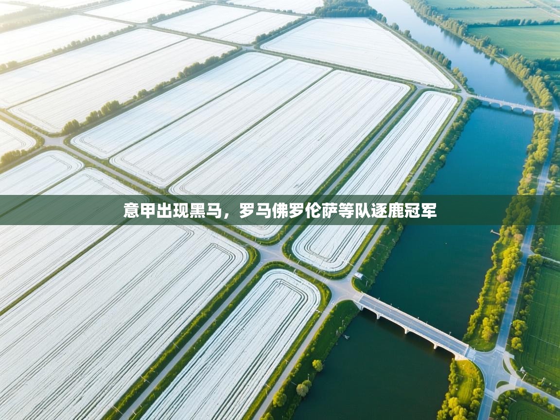 意甲出现黑马，罗马佛罗伦萨等队逐鹿冠军  第2张