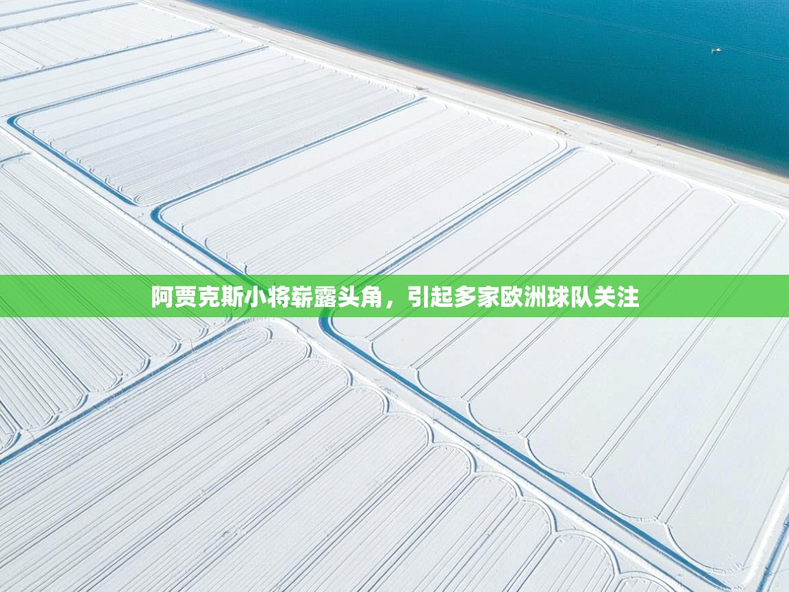 阿贾克斯小将崭露头角，引起多家欧洲球队关注  第1张