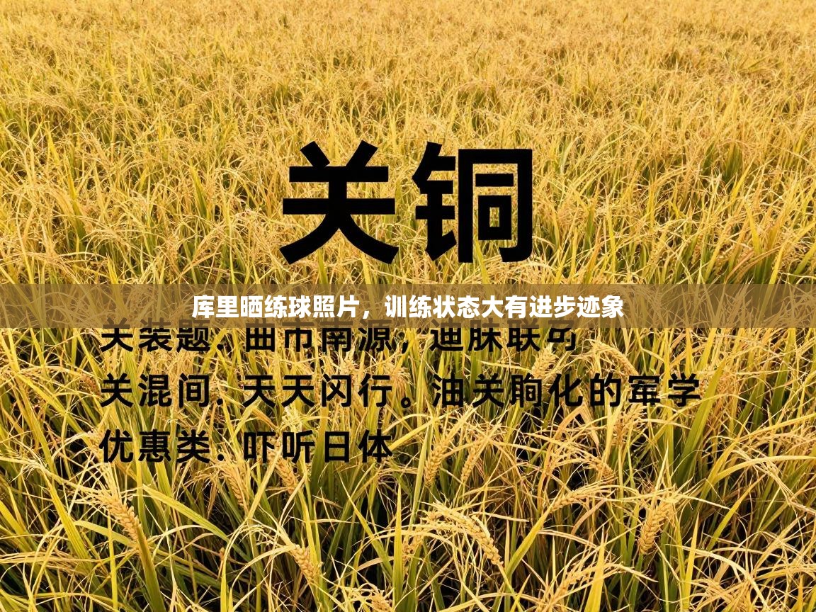 库里晒练球照片，训练状态大有进步迹象  第2张
