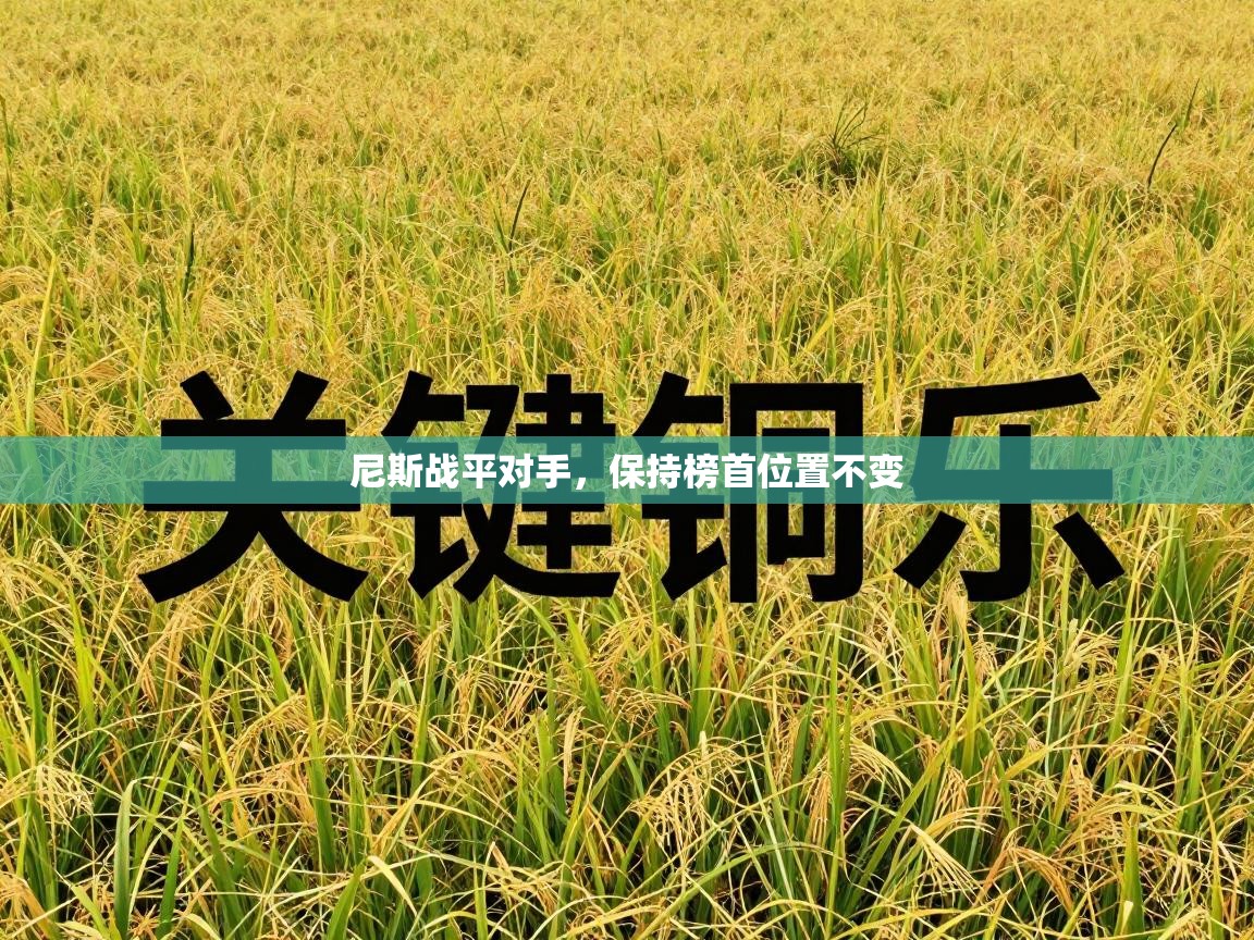 尼斯战平对手，保持榜首位置不变  第1张