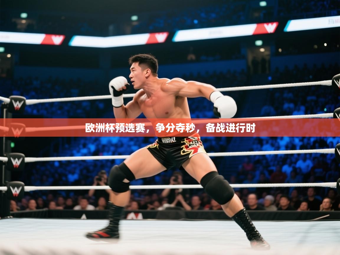 欧洲杯预选赛,争分夺秒,备战进行时 第1张