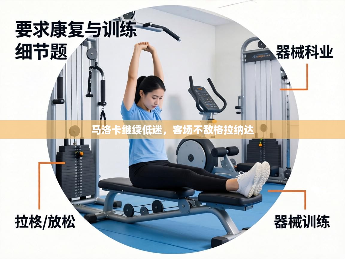 马洛卡继续低迷,客场不敌格拉纳达 第2张