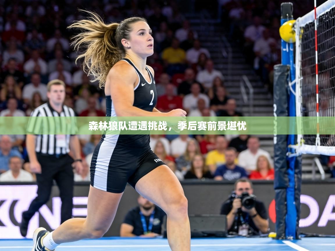森林狼队遭遇挑战，季后赛前景堪忧  第1张